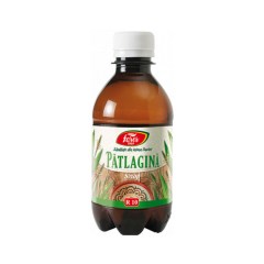 Sirop Patlagina, 250 ml, Fares